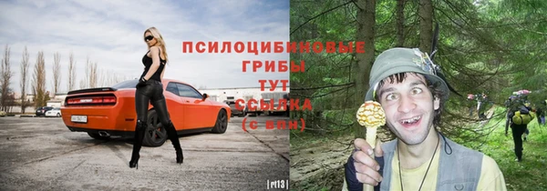 гашик Баксан